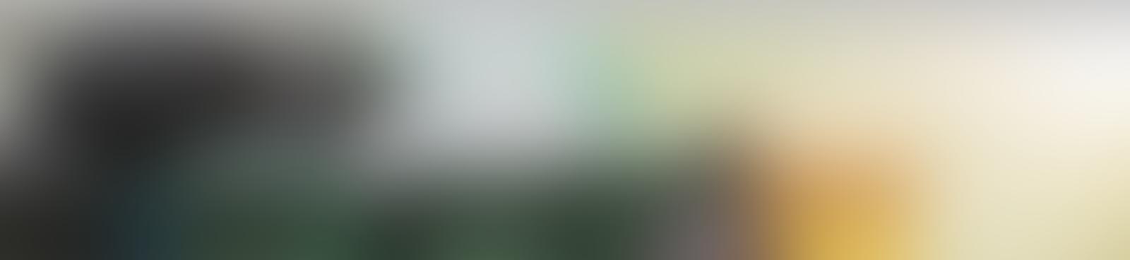 SITRAMONTI-CE - Serviços Sindicais